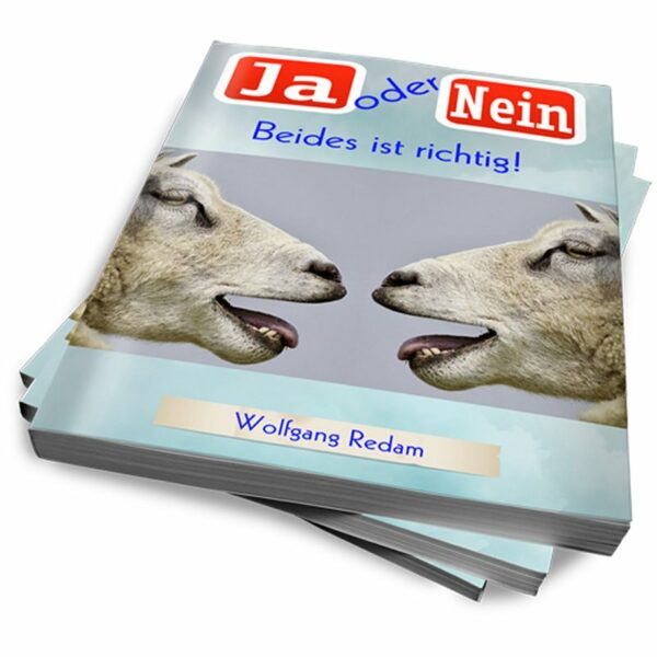 Reseller eBook Cover: JA oder NEIN-04